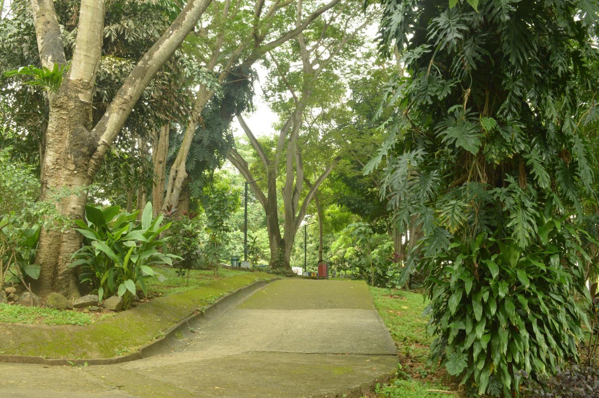 Totumas Lodge Panama City Luaran gambar